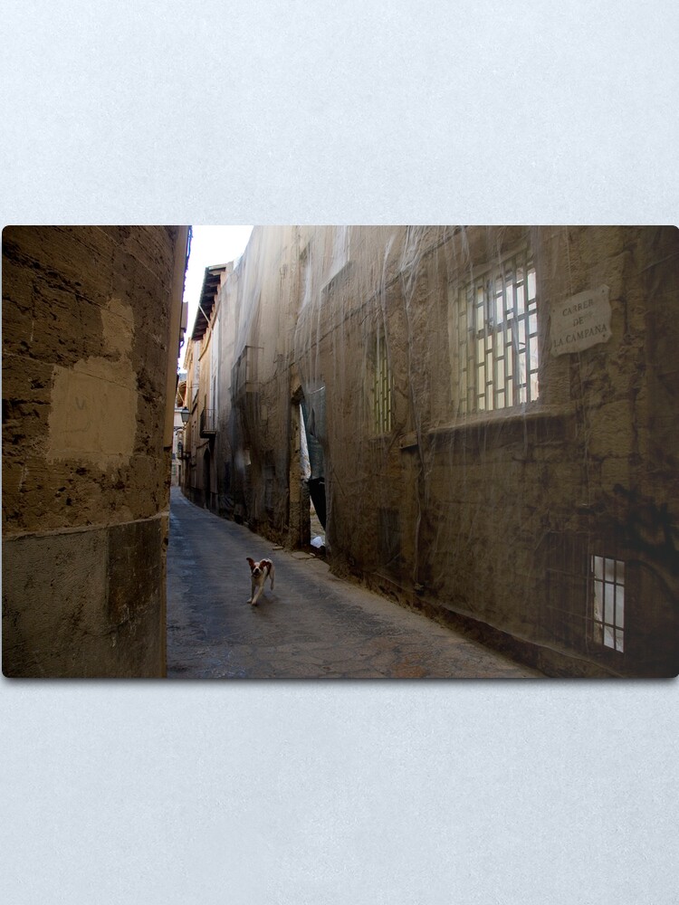 Alternate view of Dog Street Metal Print