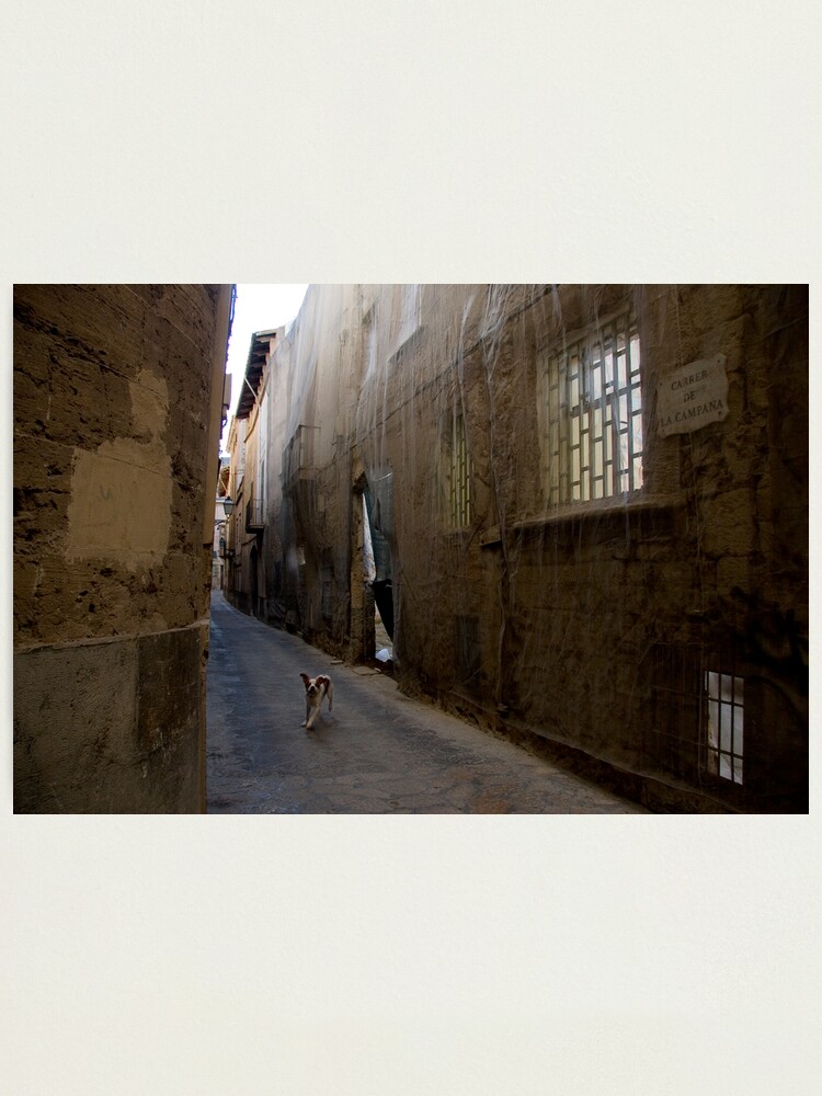 Alternate view of Dog Street Photographic Print
