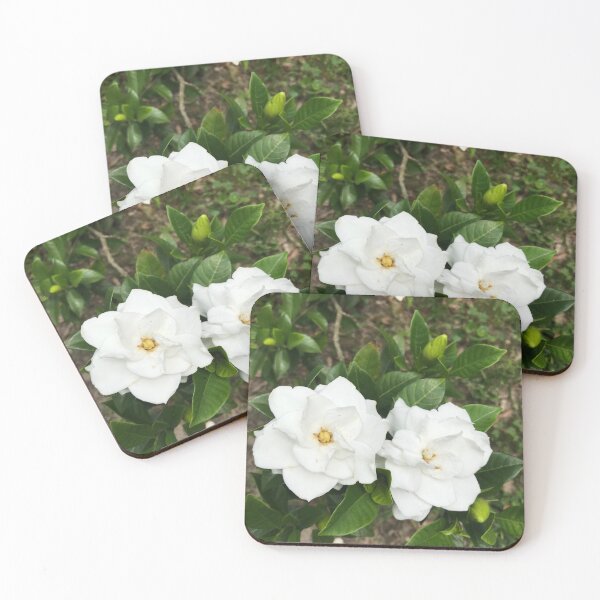 Item preview, Gardenias designed and sold by Aces_Faces.
