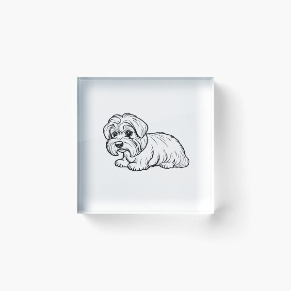 Item preview, A cute Maltese puppy with a fluffy coat playing with a colorful ball. designed and sold by AlwaysHome.