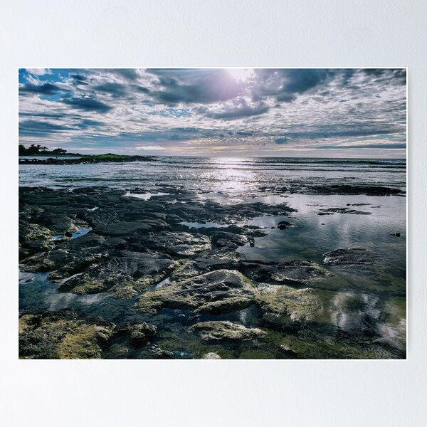 Turtle Hiding Place Hawaii Poster