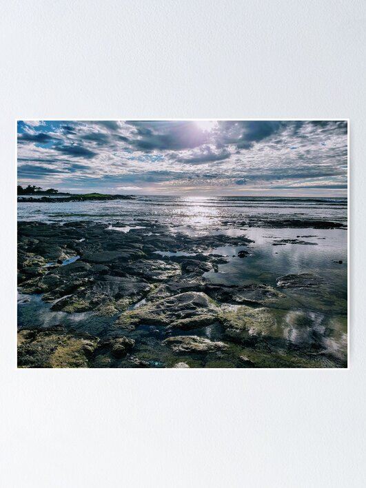 Thumbnail 1 of 3, Poster, Turtle Hiding Place Hawaii designed and sold by sbg2.