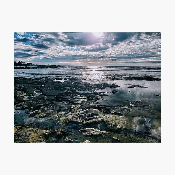 Turtle Hiding Place Hawaii Photographic Print