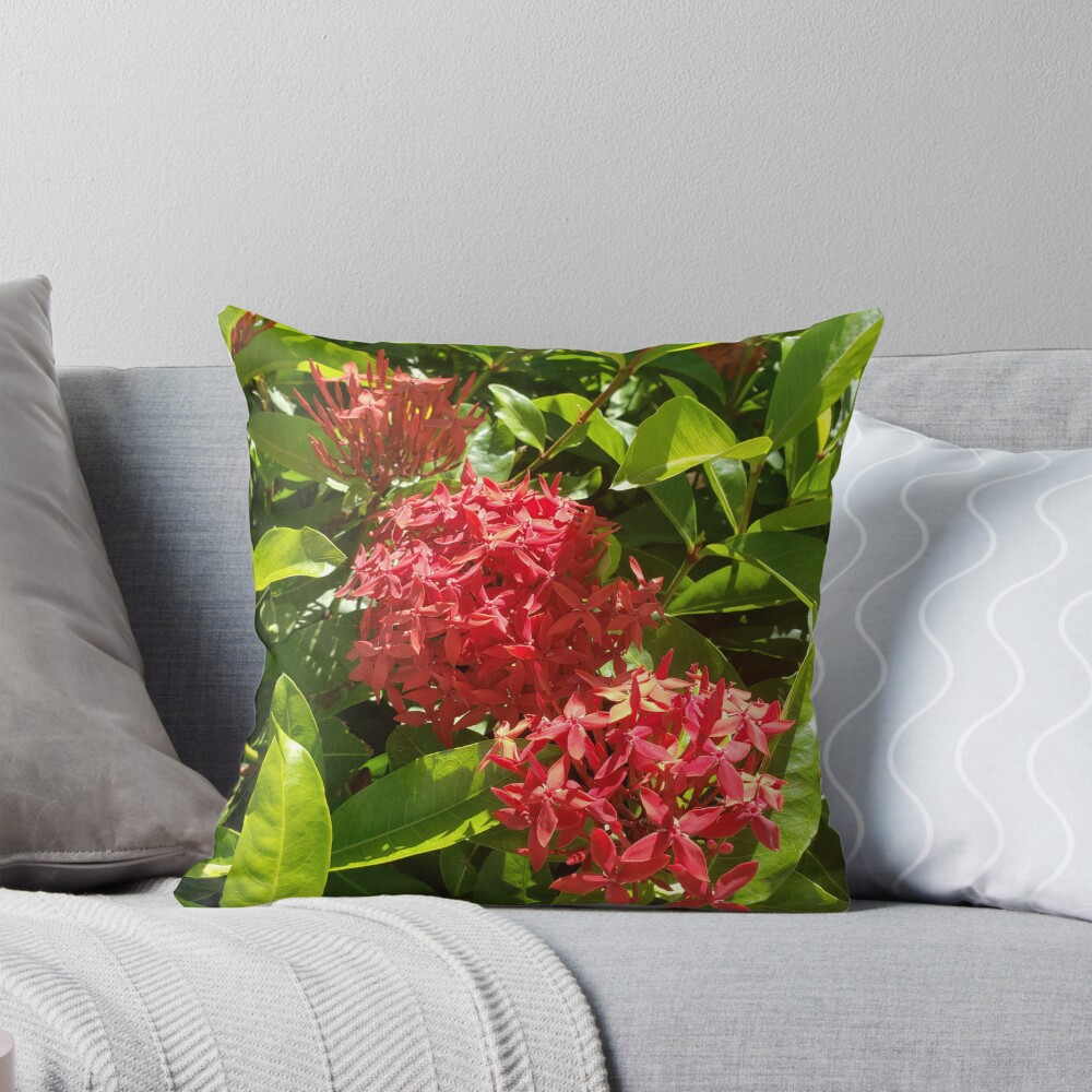 Item preview, Throw Pillow designed and sold by sbg2.