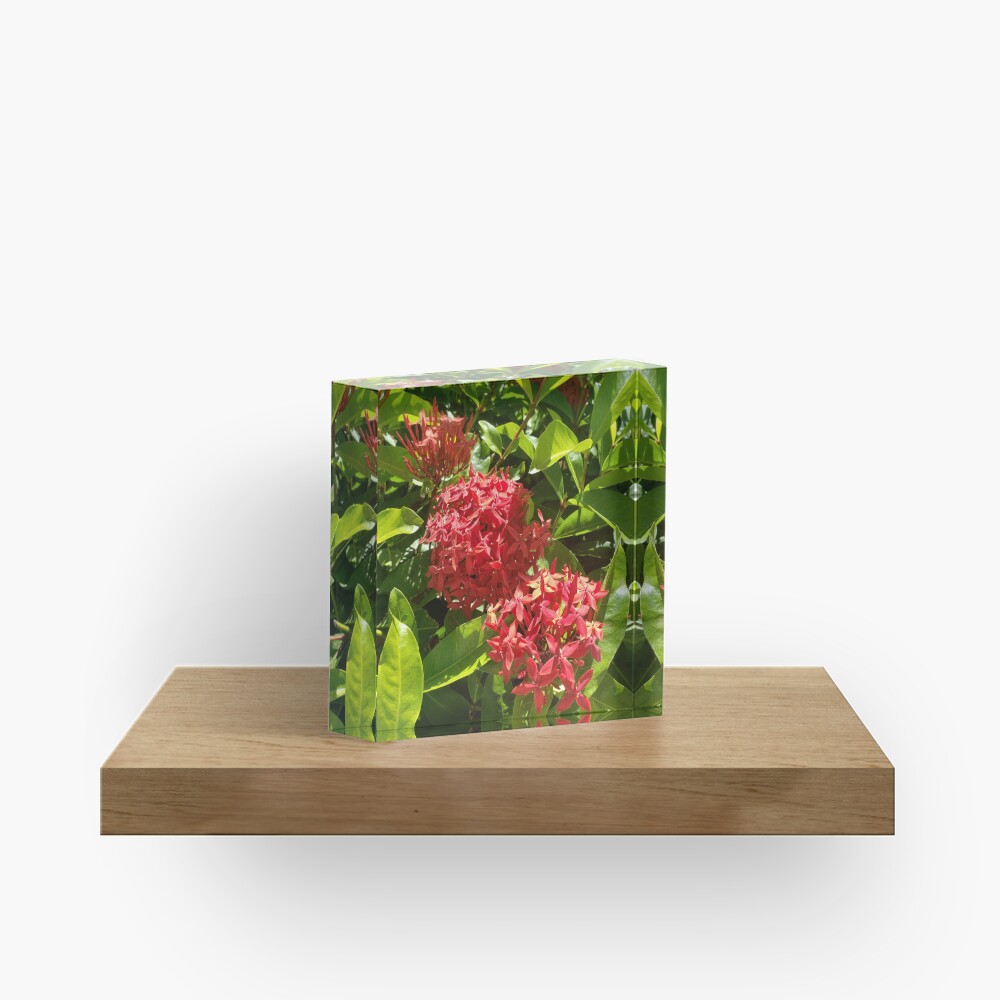 Item preview, Acrylic Block designed and sold by sbg2.