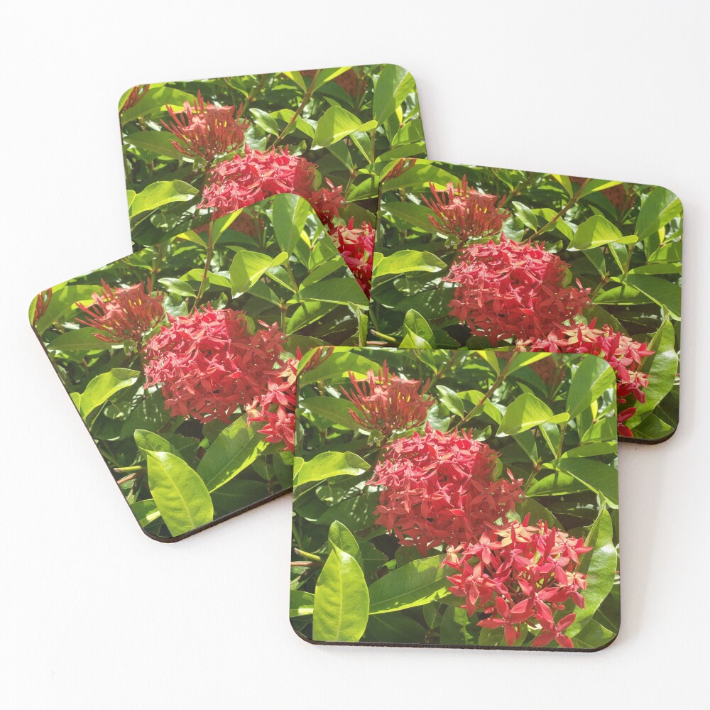 Item preview, Coasters (Set of 4) designed and sold by sbg2.