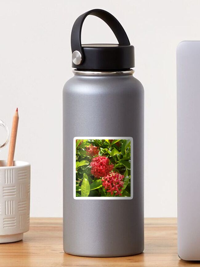 Thumbnail 1 of 3, Sticker, Red Flowers Hawaii designed and sold by sbg2.