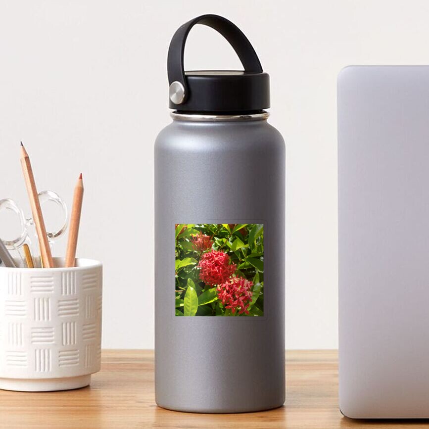 Item preview, Transparent Sticker designed and sold by sbg2.
