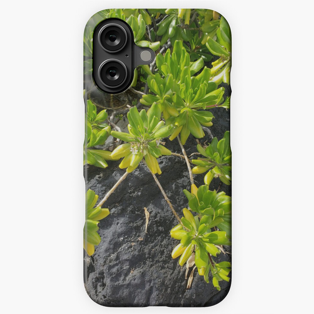 Item preview, iPhone Snap Case designed and sold by sbg2.