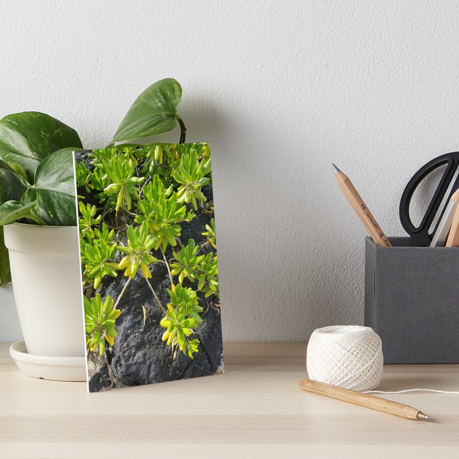 Item preview, Art Board Print designed and sold by sbg2.