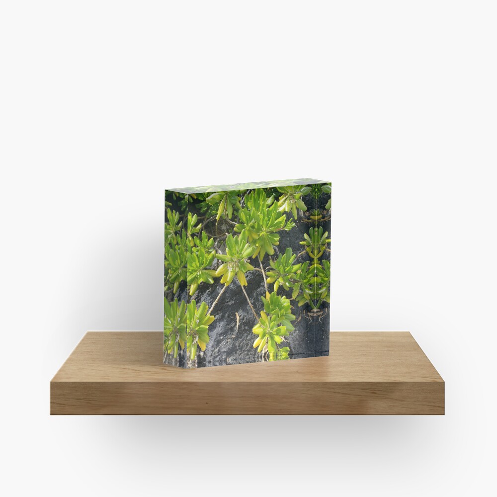 Item preview, Acrylic Block designed and sold by sbg2.