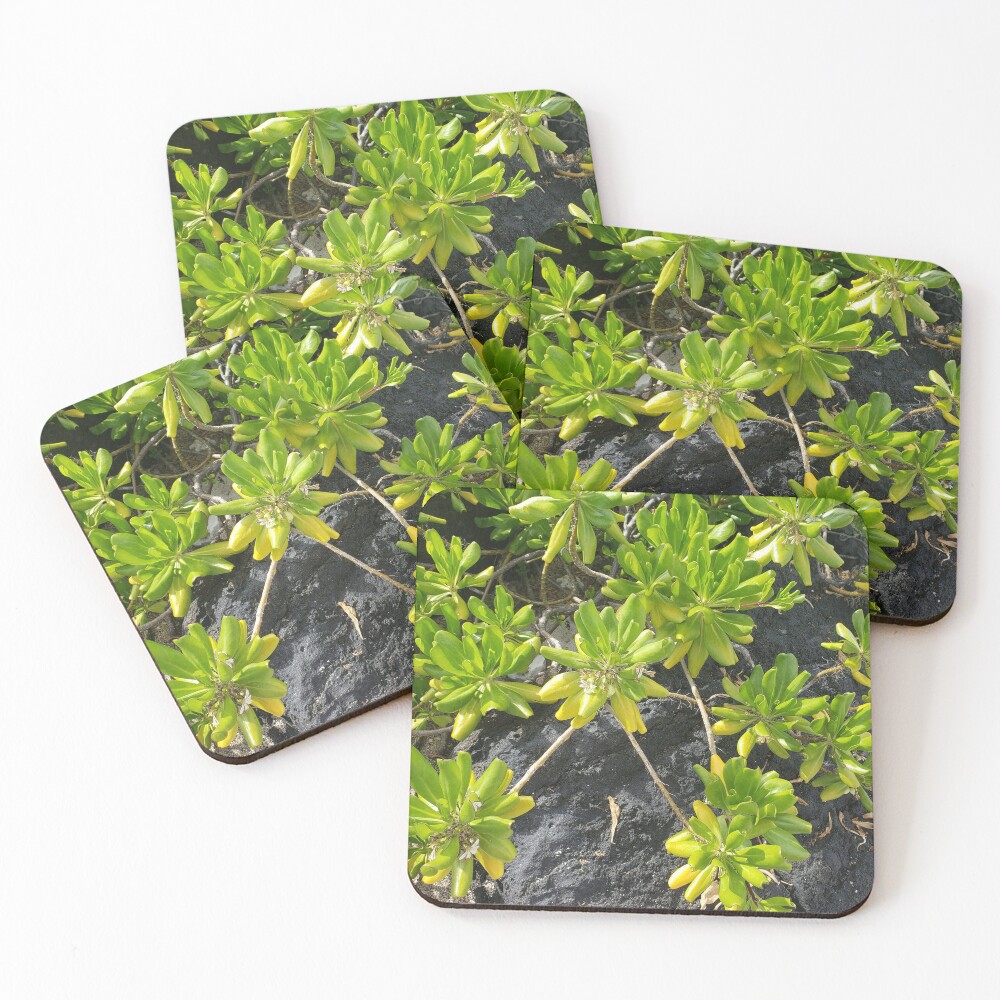 Item preview, Coasters (Set of 4) designed and sold by sbg2.