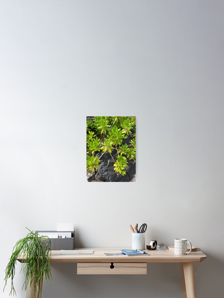 Thumbnail 2 of 3, Poster, Lime Life on Lava designed and sold by sbg2.