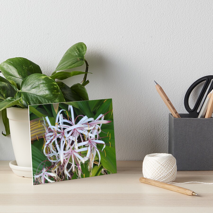 Item preview, Art Board Print designed and sold by sbg2.