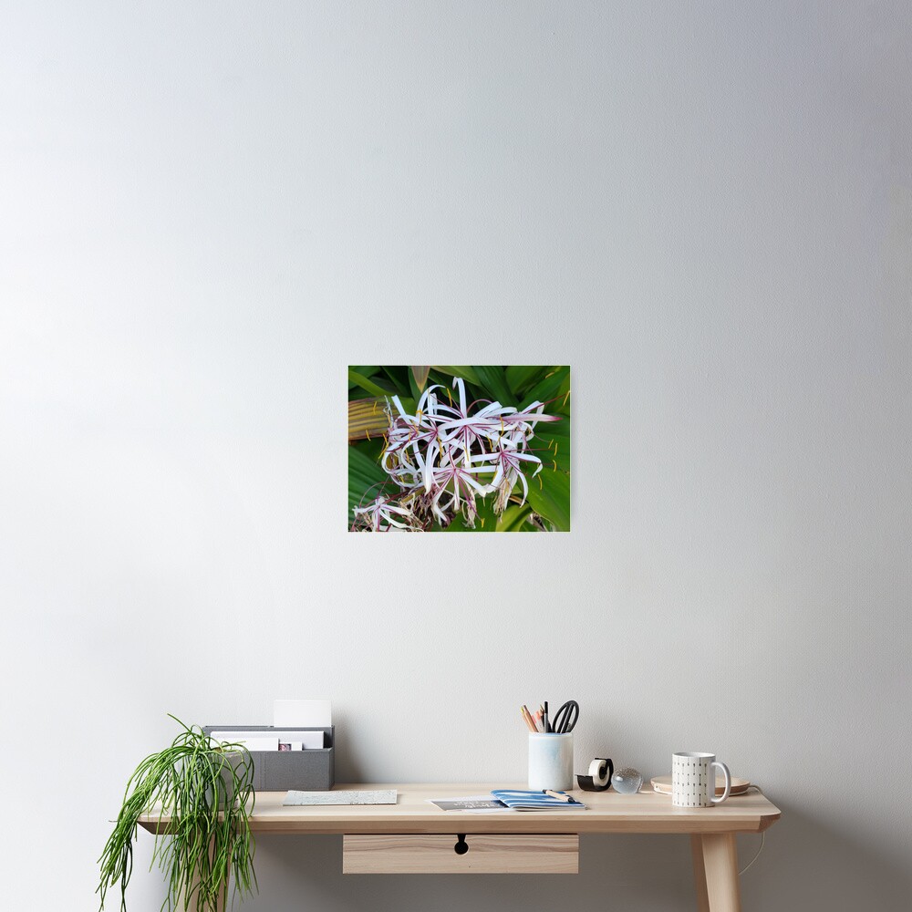 Item preview, Poster designed and sold by sbg2.