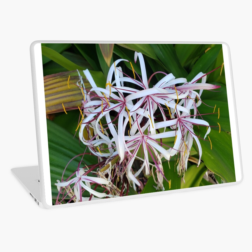 Item preview, Laptop Skin designed and sold by sbg2.