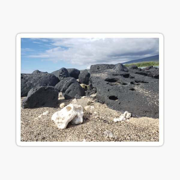 Coral and Lava Sticker
