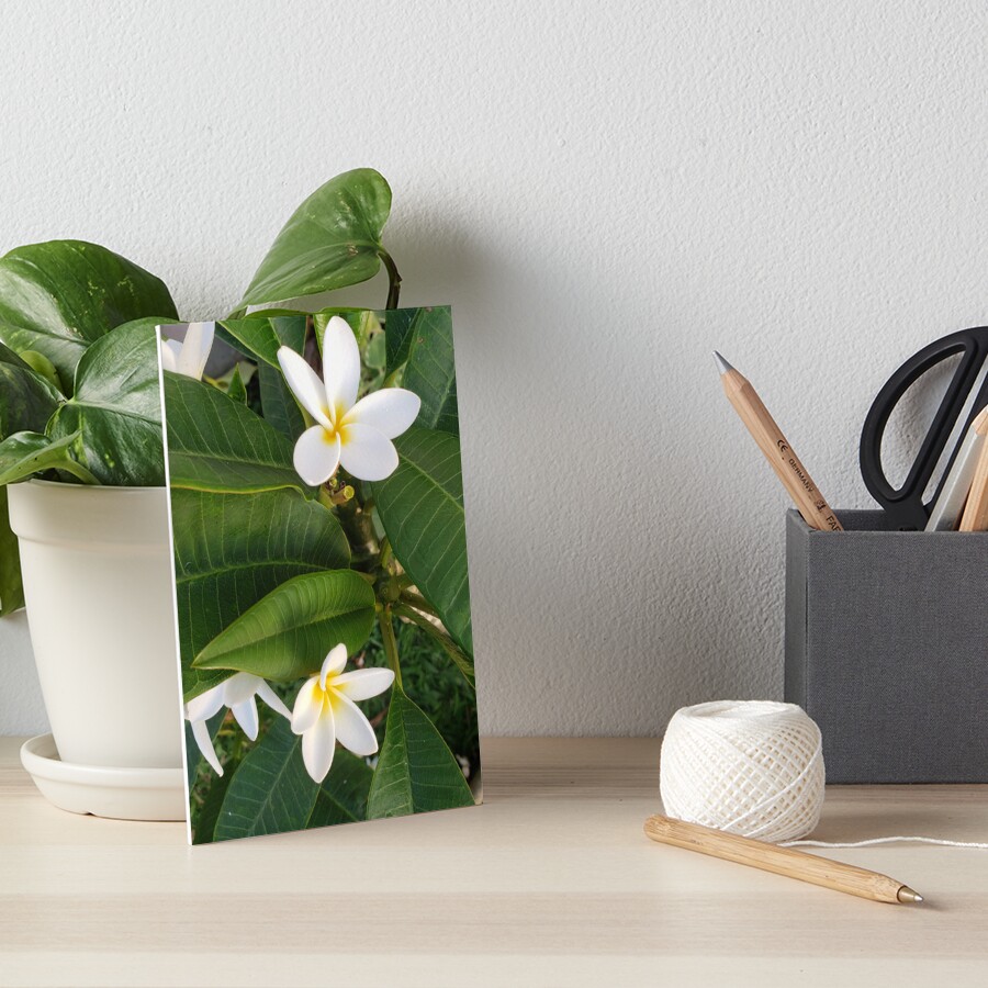 Item preview, Art Board Print designed and sold by sbg2.
