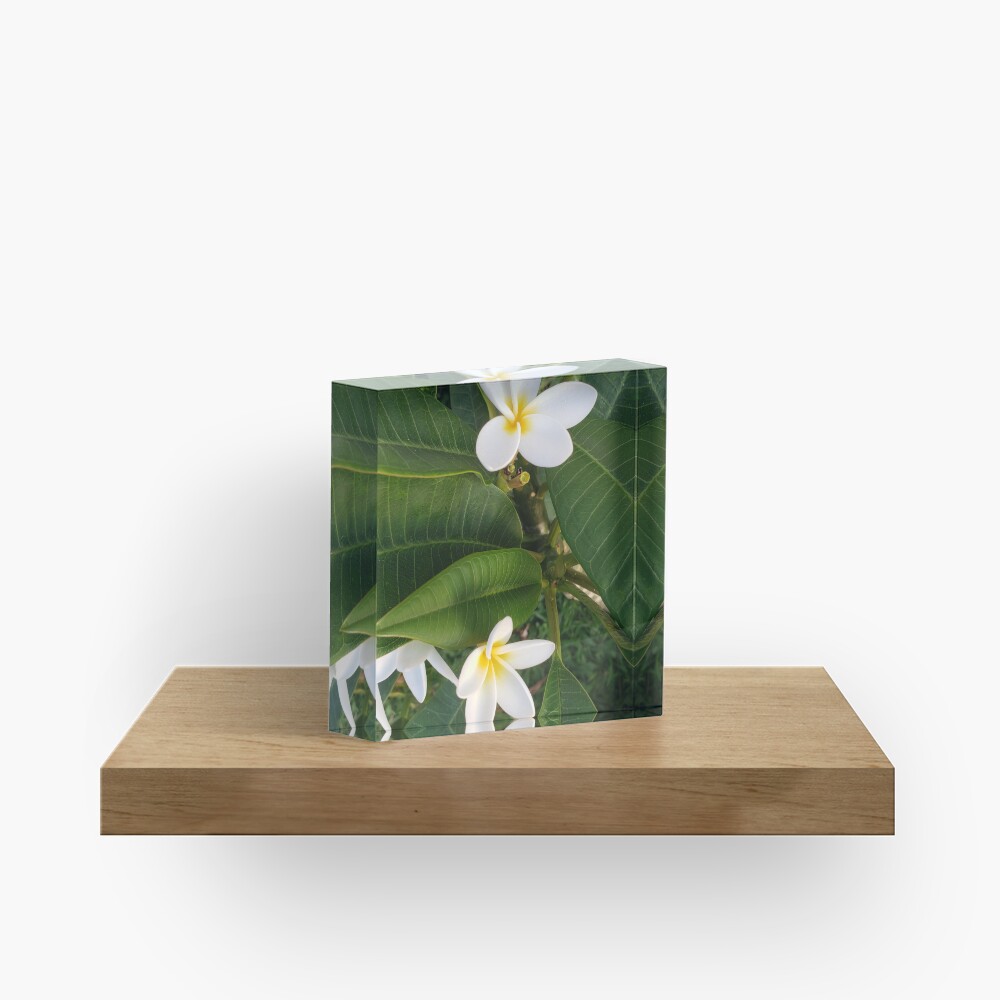 Item preview, Acrylic Block designed and sold by sbg2.