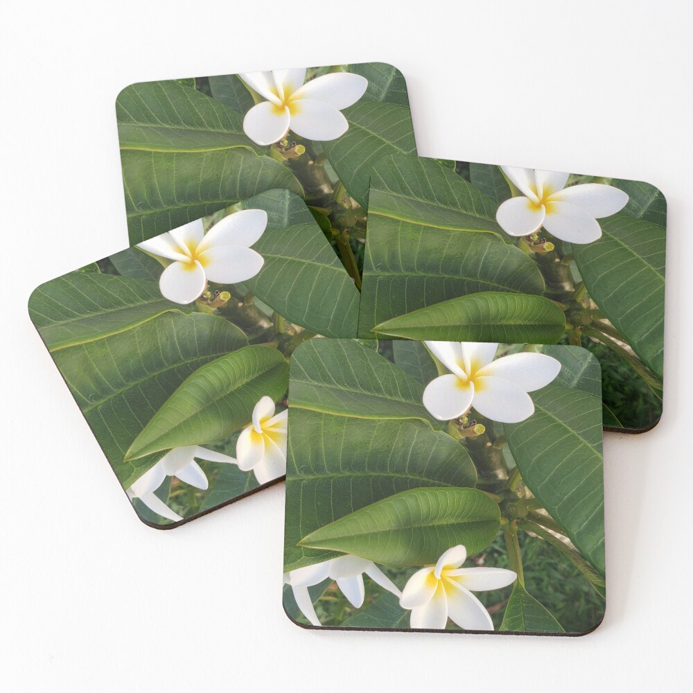 Item preview, Coasters (Set of 4) designed and sold by sbg2.