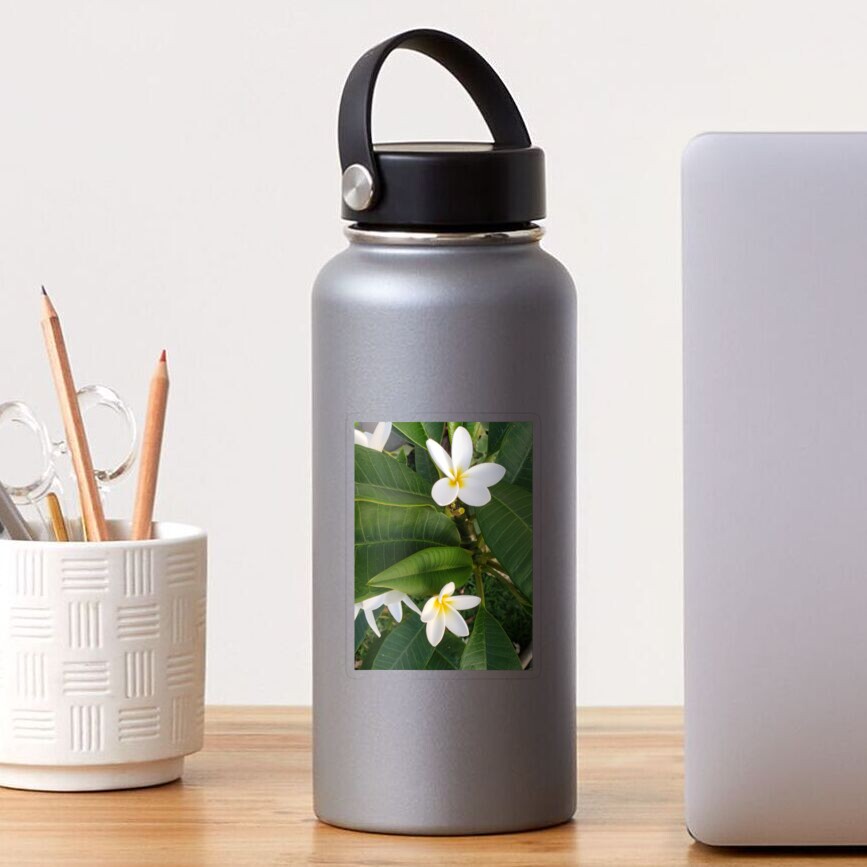 Item preview, Transparent Sticker designed and sold by sbg2.