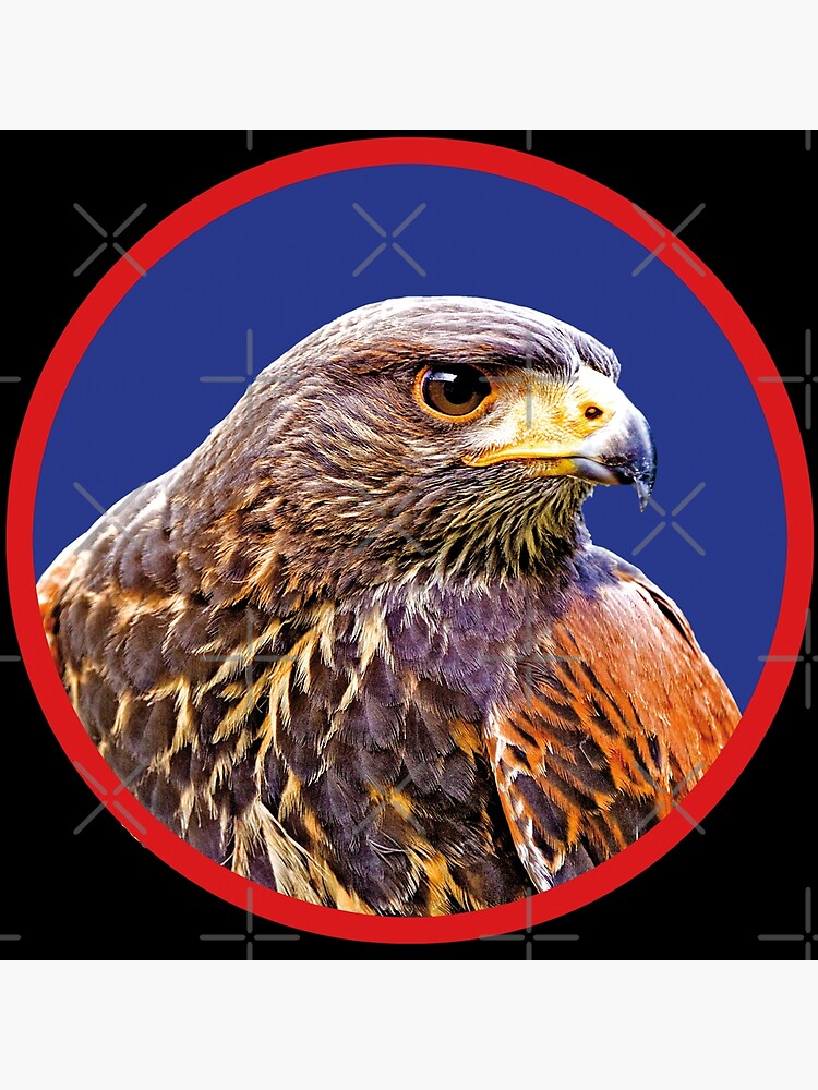 Discover Buzzard - desert buzzard Premium Matte Vertical Poster