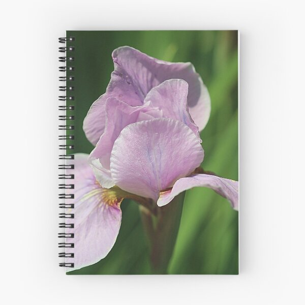 Item preview, Pink Iris designed and sold by Monnie Ryan.