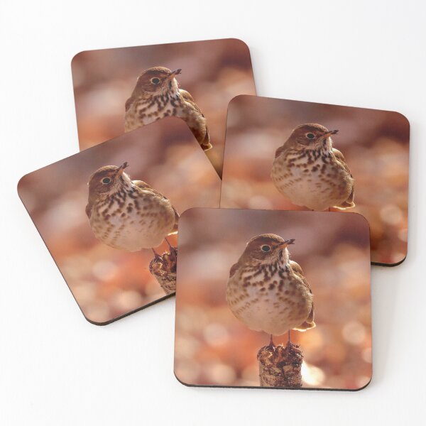 Item preview, Hermit thrush  designed and sold by Parks and X.