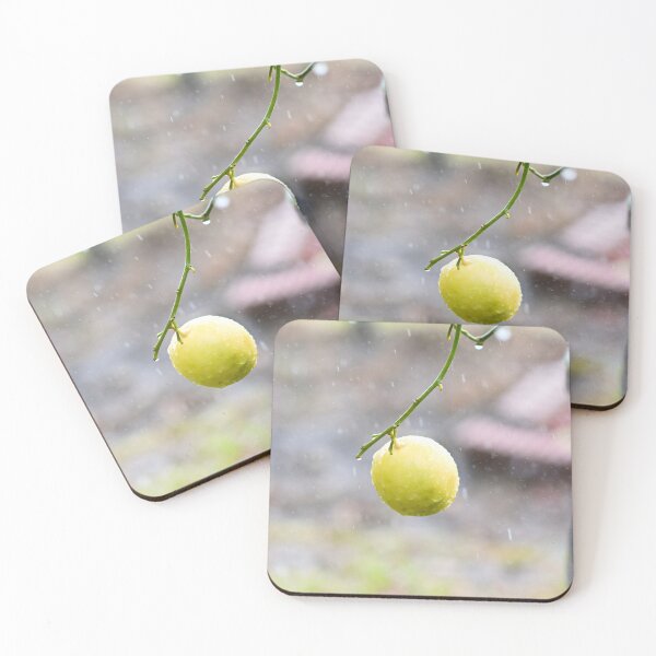 Item preview, Lemon Tree in the Rain designed and sold by Sandra  Aguirre.