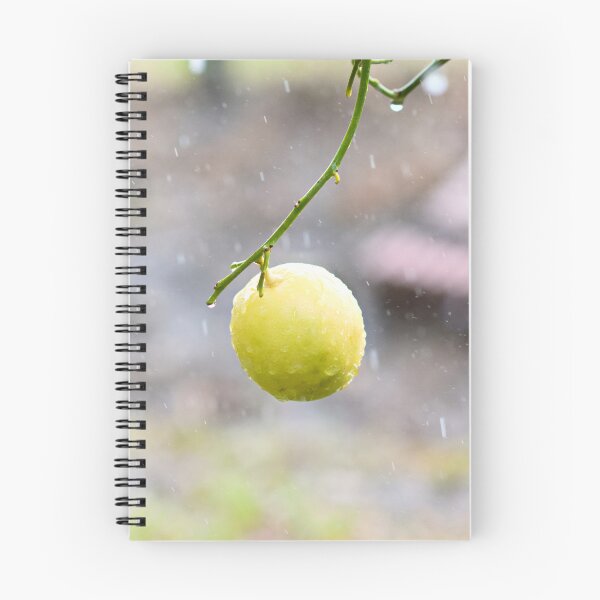 Item preview, Lemon Tree in the Rain designed and sold by Sandra  Aguirre.