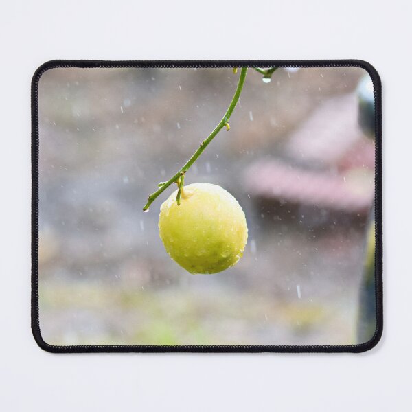 Item preview, Lemon Tree in the Rain designed and sold by Sandra Aguirre.