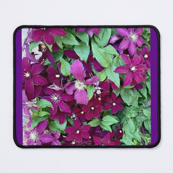 Item preview, Flower Bed designed and sold by BigDaddyD50.