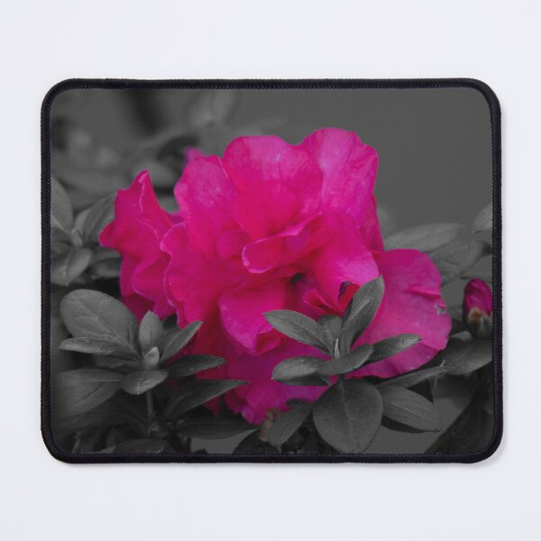 Item preview, Hot Pink Camellia Flower designed and sold by Boujiee-Boutique.