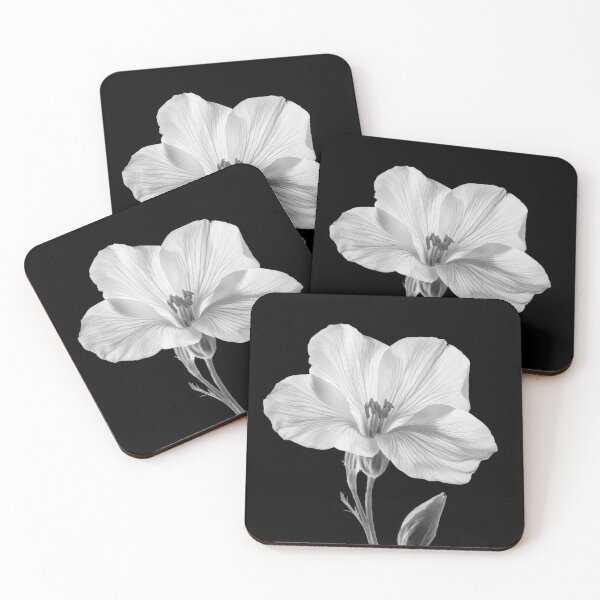 Item preview, Evening Primrose wild flower in black and white colors v1 designed and sold by PiranhaEatFashion.