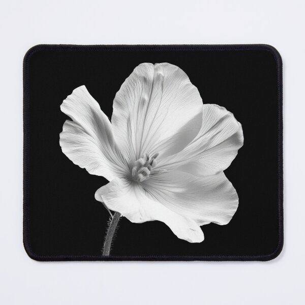 Item preview, Evening Primrose wild flower in black and white colors v3 designed and sold by PiranhaEatFashion.