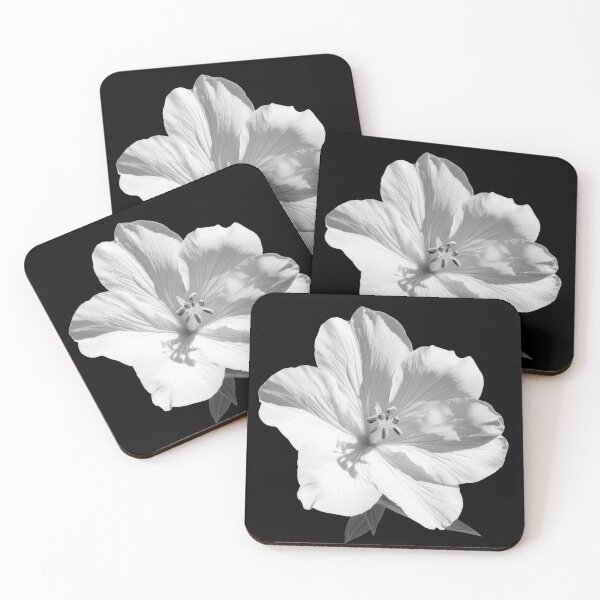 Item preview, Evening Primrose wild flower in black and white colors v4 designed and sold by PiranhaEatFashion.