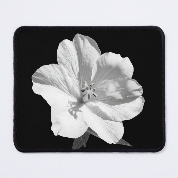 Item preview, Evening Primrose wild flower in black and white colors v4 designed and sold by PiranhaEatFashion.