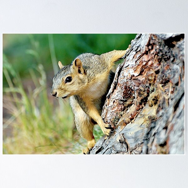 Item preview, Squirrel Friend designed and sold by kimberpix.