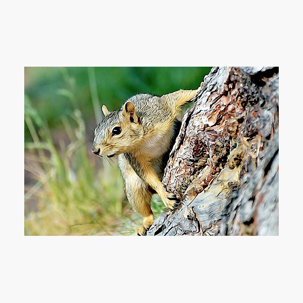 Item preview, Squirrel Friend designed and sold by kimberpix.