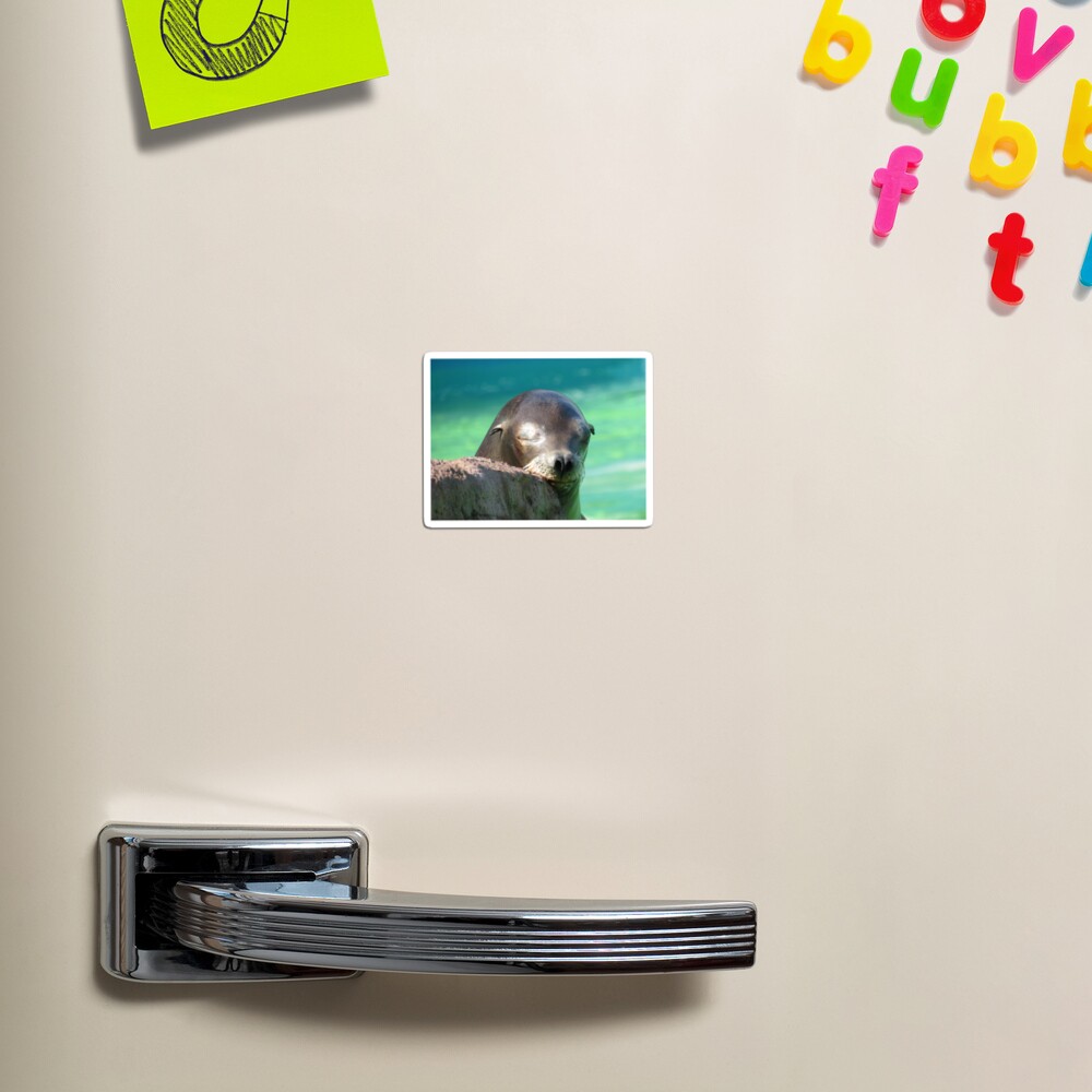 Item preview, Magnet designed and sold by sicowboy.