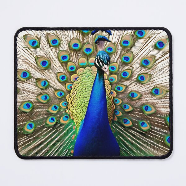 Item preview, Peacock With Stretched Feathers designed and sold by Bunmigraphics .