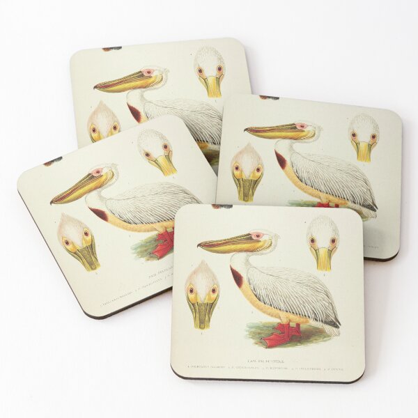 Item preview, Vintage Scientific Illustration of Pelicans - Ornithology Print designed and sold by InnerCitadel.