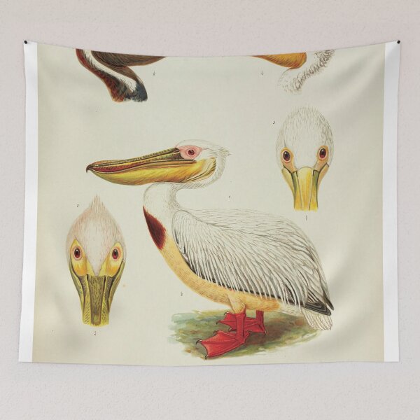 Item preview, Vintage Scientific Illustration of Pelicans - Ornithology Print designed and sold by InnerCitadel.