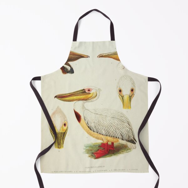 Item preview, Vintage Scientific Illustration of Pelicans - Ornithology Print designed and sold by InnerCitadel.