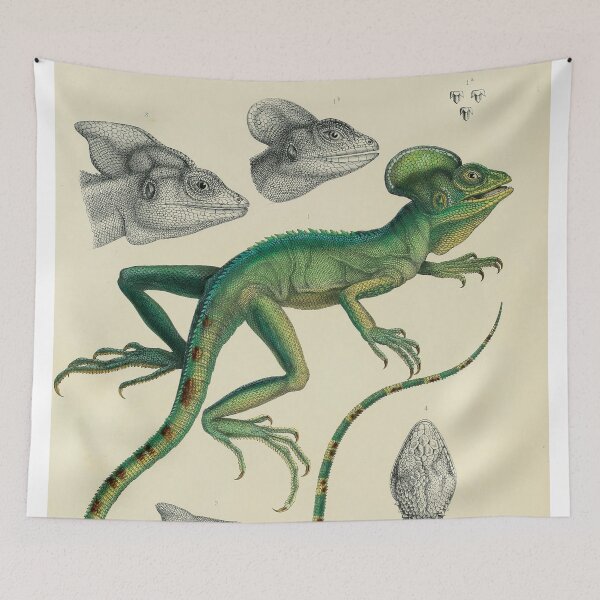 Item preview, Retro Illustration of a Basilisk Lizard – Antique Natural History  designed and sold by InnerCitadel.