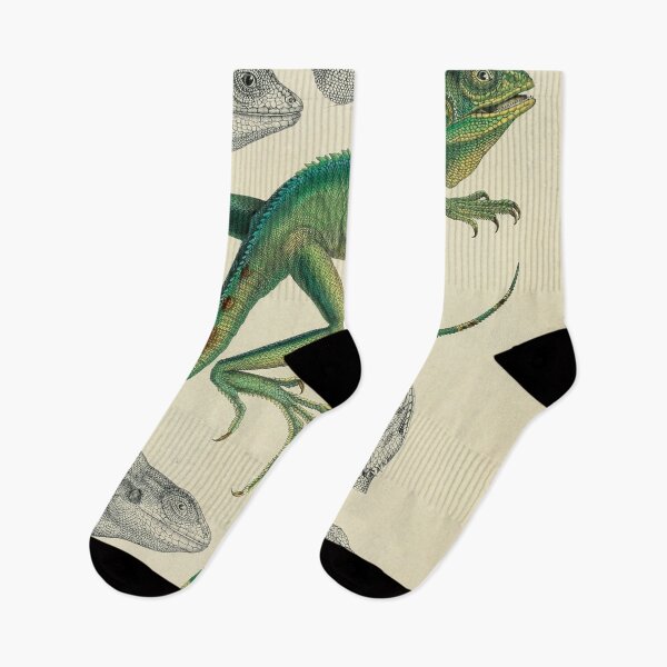 Item preview, Retro Illustration of a Basilisk Lizard – Antique Natural History  designed and sold by InnerCitadel.
