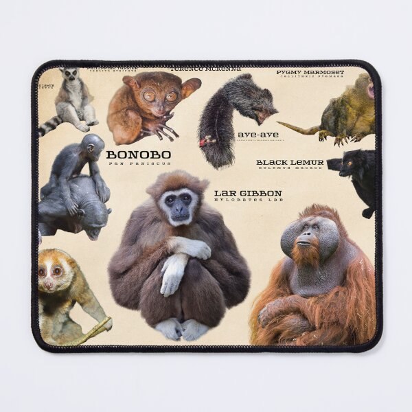 Item preview, Novel Primates of the world Vintage Conservation poster designed and sold by wesleykshaver.
