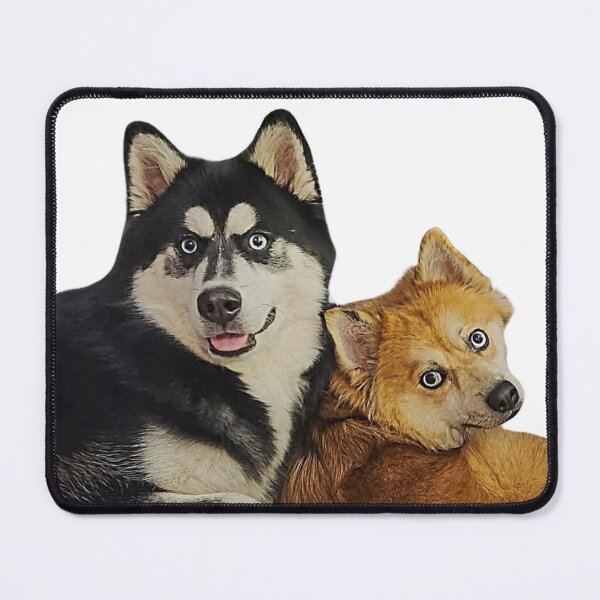 Item preview, Pomsky- Mini Husky - Snuggles - Walker - Kiera designed and sold by BHC-P.