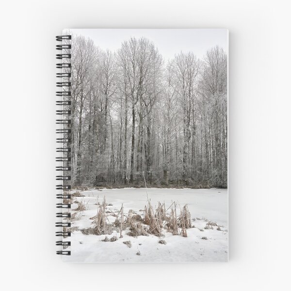 Item preview, Pyhajarvi winter 2025 3 designed and sold by Jouko Lehto Photography.