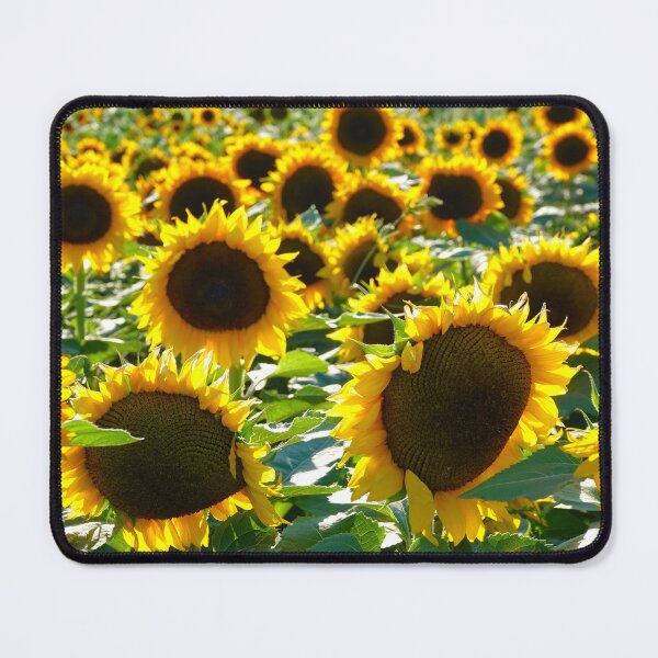 Item preview, Sunflower Field designed and sold by JuliaCulp.